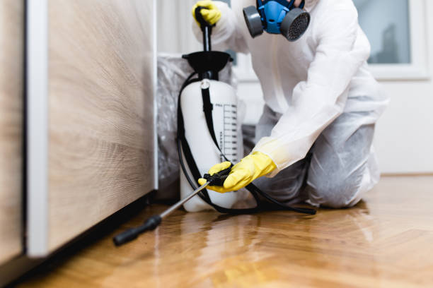 Best Mosquito Control Services  in Sachse, TX