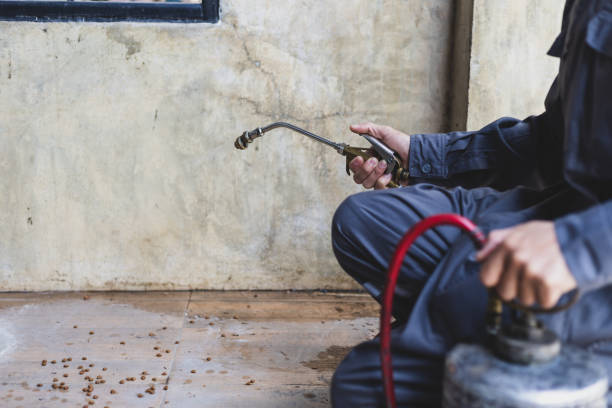 Best Pest Control Near Me in Sachse, TX